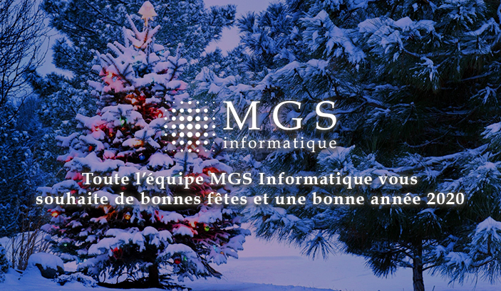 Lire la suite à propos de l’article MGS vous souhaite une bonne année !